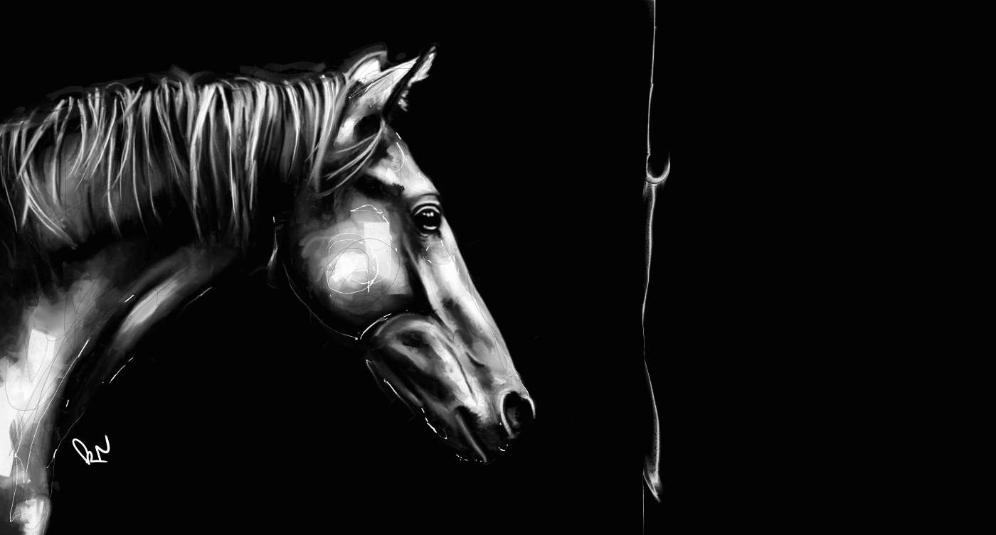 cheval_toile